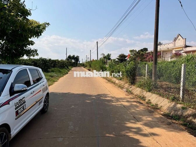 Đất xây nhà vườn tại Phúc Thọ Lâm Đồng | 7m ngang | Giá 379 triệu