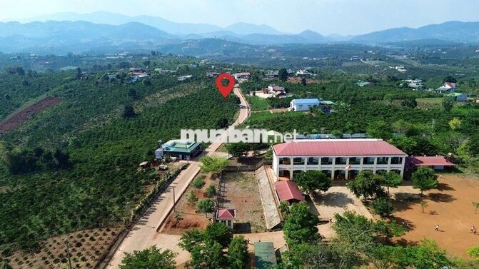 Đất xây nhà vườn tại Phúc Thọ Lâm Đồng | 7m ngang | Giá 379 triệu