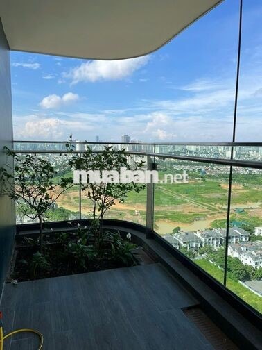 Danh sách quỹ căn hộ cho thuê giá tốt tại tòa Sunshine Golden River