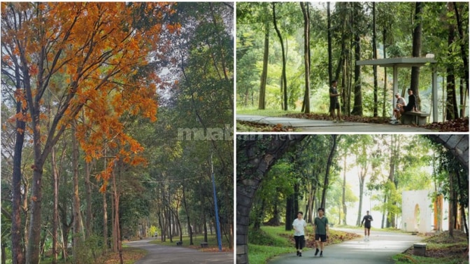 Căn góc 2pn2wc, 98.5m2, tầng 6. Giá bán 4.28ty (sát giá HĐ).