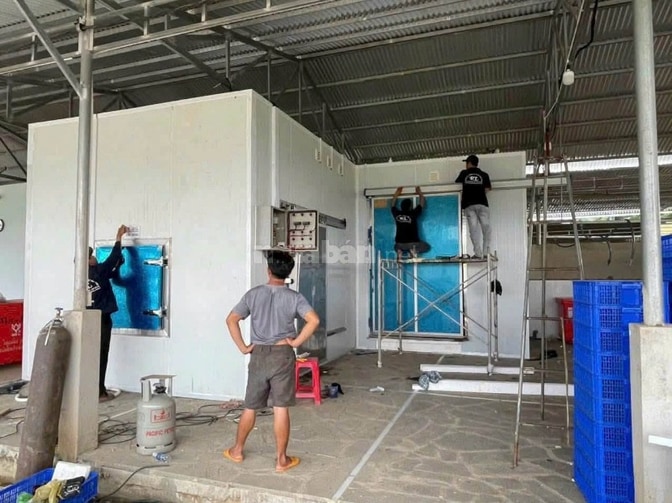 Chuyên lắp đặt kho lạnh biển bạc 