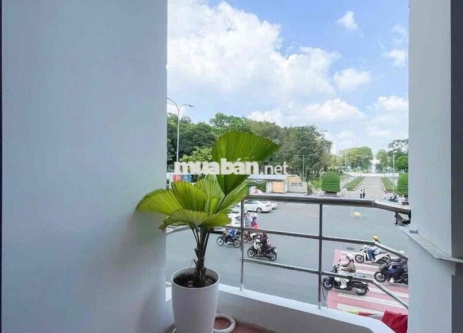 ✨Cho thuê căn hộ dịch vụ quận 3 ( đối diện Công Viên Tao Đàn)