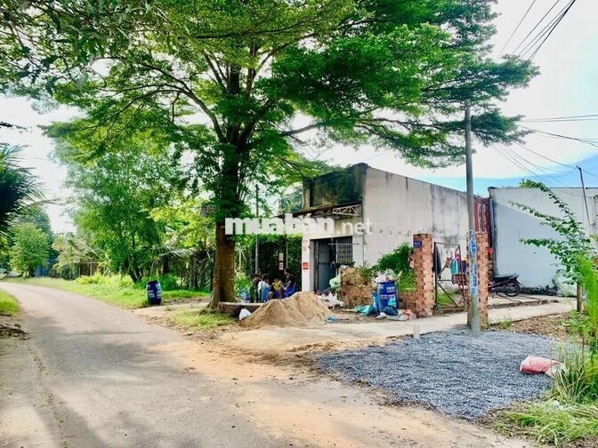  ĐẤT PHƯỚC VĨNH AN – GẦN KCN TÂY BẮC CỦ CHI | 144,8M² , SHR, GIÁ 650TR
