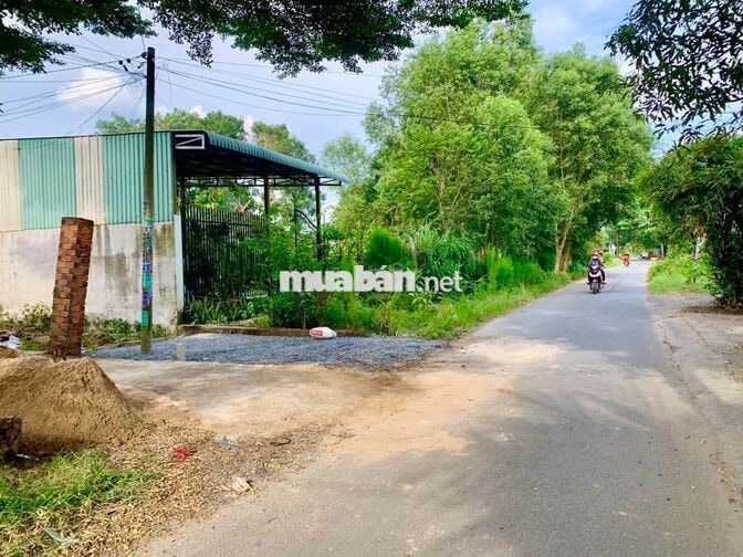  ĐẤT PHƯỚC VĨNH AN – GẦN KCN TÂY BẮC CỦ CHI | 144,8M² , SHR, GIÁ 650TR