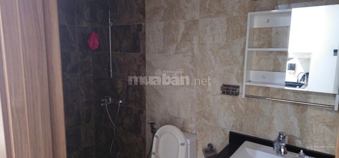 Cho thuê căn hộ chung cư 3 ngủ tại Chung cư 176 Định công, Sky Central