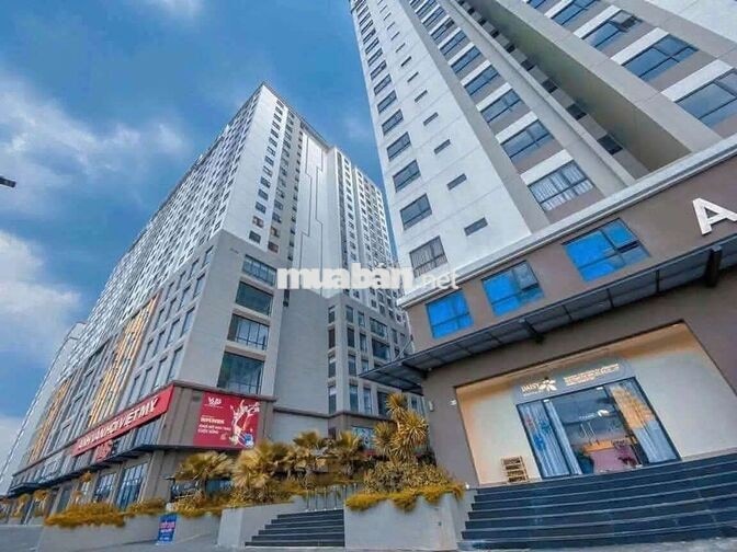 Chung cư Q8 giá rẻ nhất thị trường