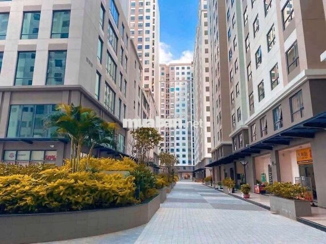 Chung cư Q8 giá rẻ nhất thị trường