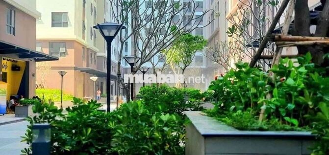Chung cư Q8 giá rẻ nhất thị trường
