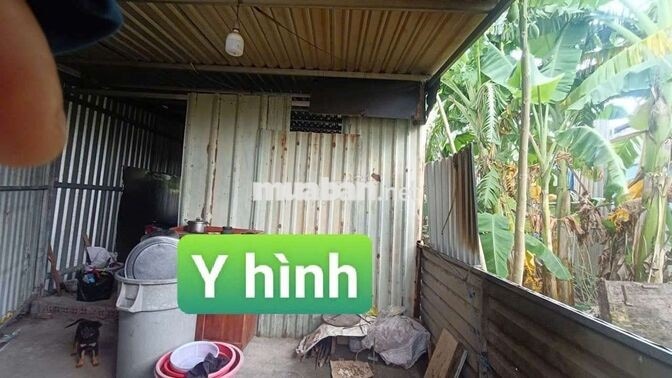 Nhà vườn trái  cây 8*25 có nhà Tôn  Đường Kênh Trung ương Vĩnh Lộc B