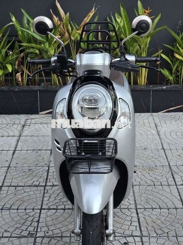 🍎Honda Scoopy 2024 Bạc porsche