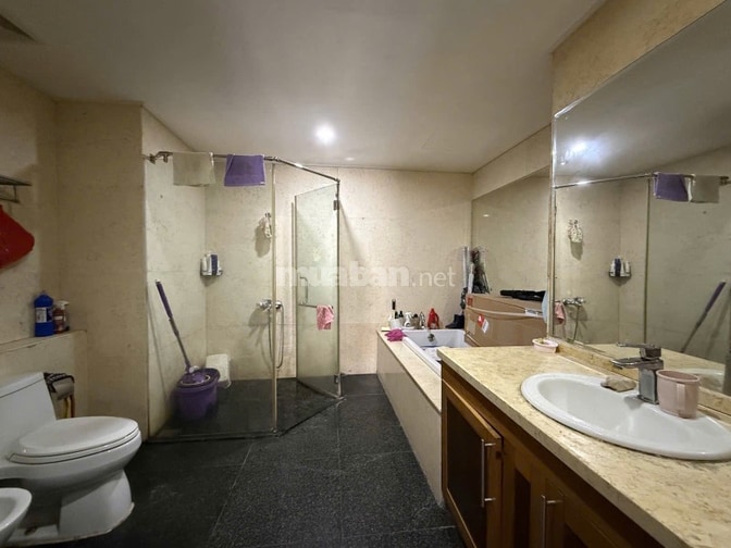 Bán gấp chung cư Royal Citi 72A Nguyễn Trãi, Dt 125m2, chào 15 tỷ.