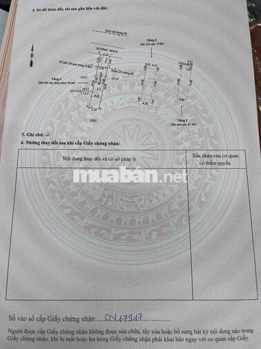 Nhà SHR mới 100% Trần Đại Nghĩa có sân sau thoáng