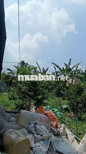 Nhà Vườn  400m Nhà + Điện 3 pha  Đường Kênh trung ương  Vĩnh Lộc BV