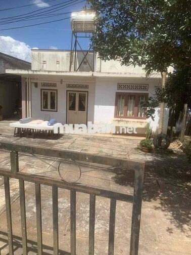 🏡 CHO THUÊ NHÀ CẤP 4 – KHU VỰC XUÂN THỌ, ĐÀ LẠT