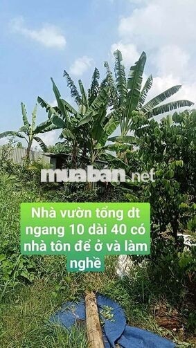 Nhà Vườn  400m Nhà + Điện 3 pha  Đường Kênh trung ương  Vĩnh Lộc BV