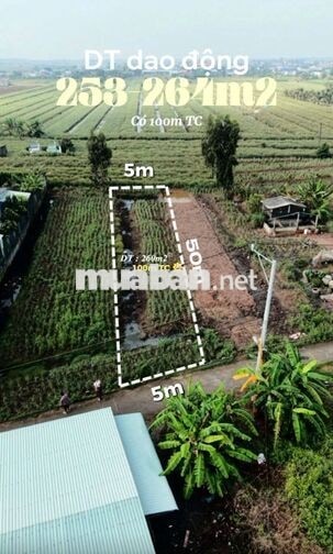 Đất 264m2 có 100m2 thổ cư, giá 280 triệu – Phú Đông, Tân Phú Đông