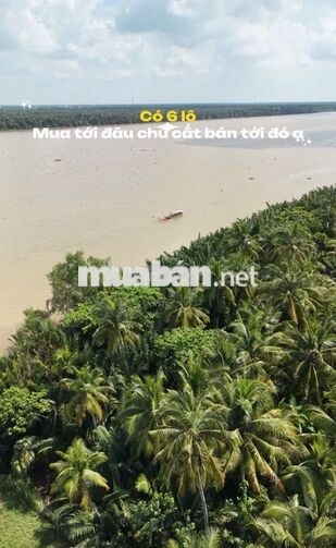 500m2 ĐẤT VIEW SÔNG CÓ THỔ CƯ GIÁ HÓT | 379 TRIỆU