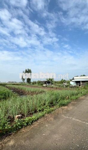 Đất 264m2 có 100m2 thổ cư, giá 280 triệu – Phú Đông, Tân Phú Đông