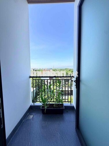 CĂN HỘ STUDIO MỚI KHU VỰC HÒA XUÂN