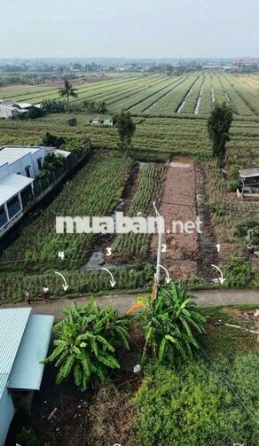Đất 264m2 có 100m2 thổ cư, giá 280 triệu – Phú Đông, Tân Phú Đông