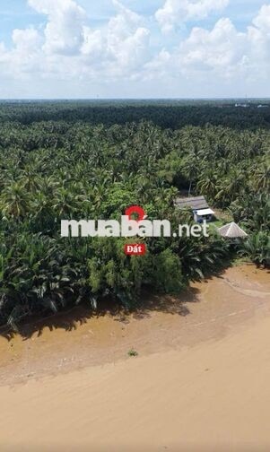 500m2 ĐẤT VIEW SÔNG CÓ THỔ CƯ GIÁ HÓT | 379 TRIỆU