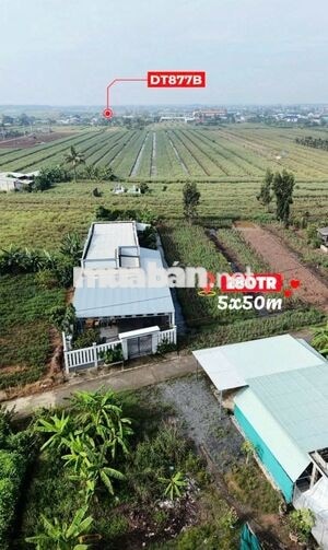 Đất 264m2 có 100m2 thổ cư, giá 280 triệu – Phú Đông, Tân Phú Đông