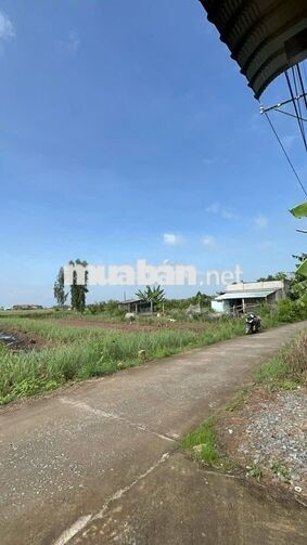 Đất 264m2 có 100m2 thổ cư, giá 280 triệu – Phú Đông, Tân Phú Đông