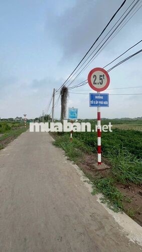 Đất Vườn Tân Phú Đông Giáp Sông 250 Triệu