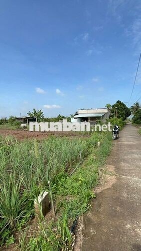 Đất 264m2 có 100m2 thổ cư, giá 280 triệu – Phú Đông, Tân Phú Đông