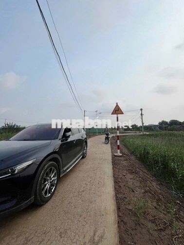 Đất Vườn Tân Phú Đông Giáp Sông 250 Triệu