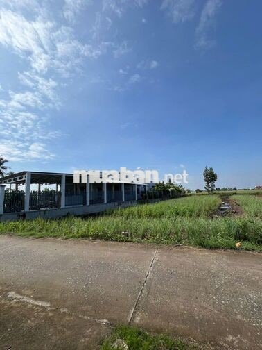 Đất 264m2 có 100m2 thổ cư, giá 280 triệu – Phú Đông, Tân Phú Đông