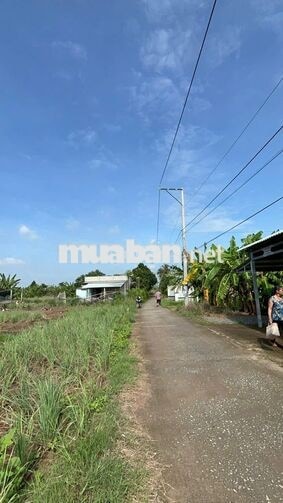 Đất 264m2 có 100m2 thổ cư, giá 280 triệu – Phú Đông, Tân Phú Đông