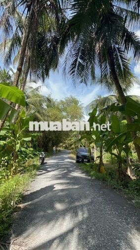 500m2 ĐẤT VIEW SÔNG CÓ THỔ CƯ GIÁ HÓT | 379 TRIỆU