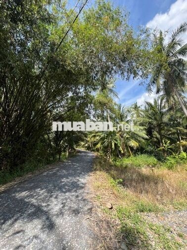 500m2 ĐẤT VIEW SÔNG CÓ THỔ CƯ GIÁ HÓT | 379 TRIỆU