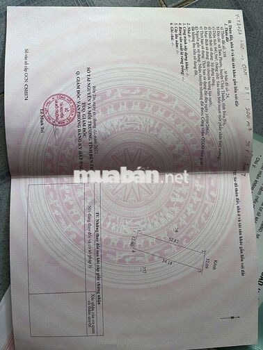 ĐẤT RẺ ĐẸP!!! Mặt tiền lộ đan 3M Tam Phước, Châu Thành, Bến Tre