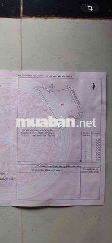 Bán đất vườn CHÍNH CHỦ 2.844,5m² đường Suối Đá, gần Núi Chứa Chan