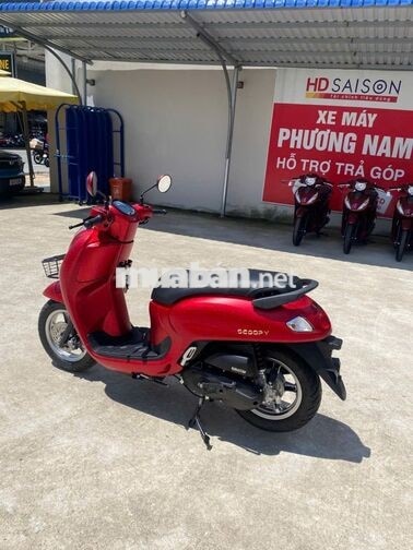 Honda Scoopy 110 Nhập khẩu
