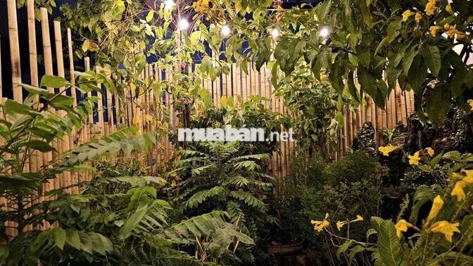 Căn hộ 1PN sân vườn full nội thất Lê Văn Sỹ Tân Bình