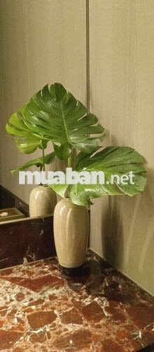 2tr, nhà tập thể, điện nước giá nhà nước.