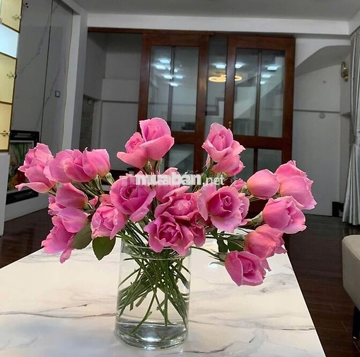 Cho thuê nhà Lương Đình Của 26m² x 5 tầng, full đồ, chỉ 11 triệu/tháng