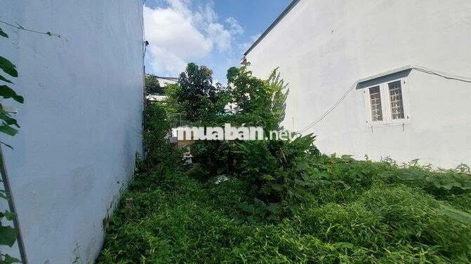 💎 ĐẤT ĐẸP BÙI MINH TRỰC – CÁCH MẶT TIỀN 15M | NỞ HẬU  – ĐƯỜNG XE HƠI