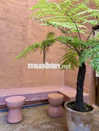 Sang nhượng mặt bằng 450m2 mặt tiền đường 2/4