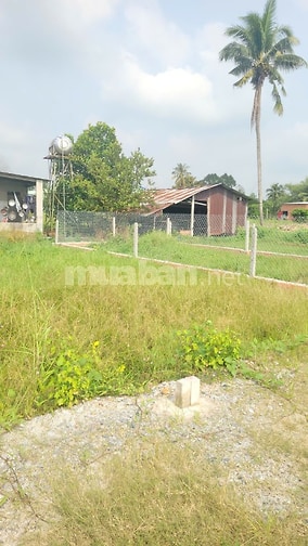 6m ngang. 90m2 đất đô thị tại phường. 270tr. Quá rẻ 