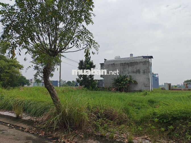 ĐẤT GIÁ RẺ BẤT NGỜ – CHỈ 699 TRIỆU! 🔥