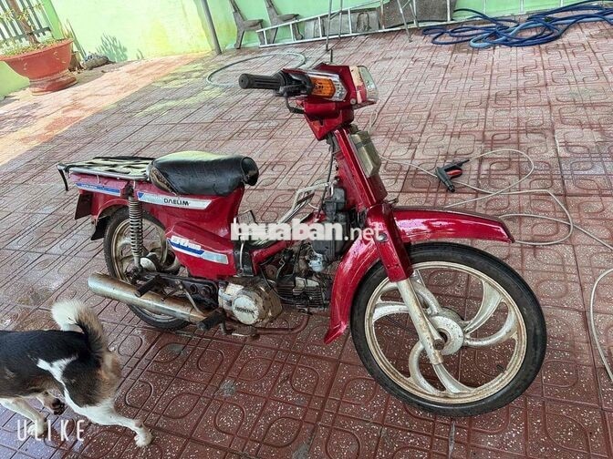 Honda Citi màu Đỏ