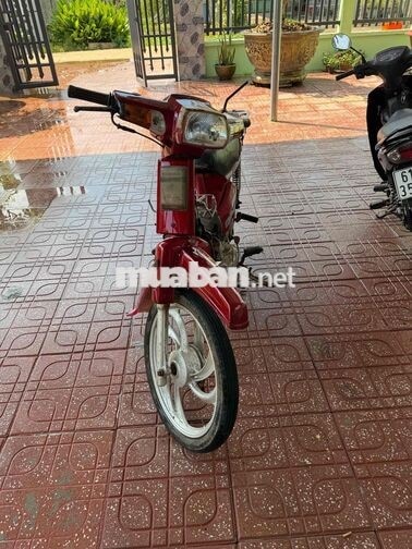 Honda Citi màu Đỏ