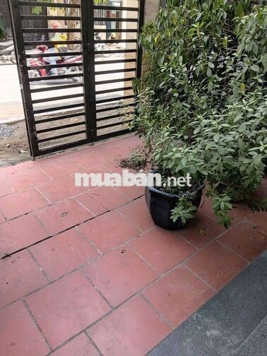 Cho thuê nhà nguyên căn mặt tiền đường số Tân Quy quận 7 