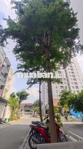 Đất Biệt thự 254m2 - view công viên, quỹ đất hiếm Gò vấp
