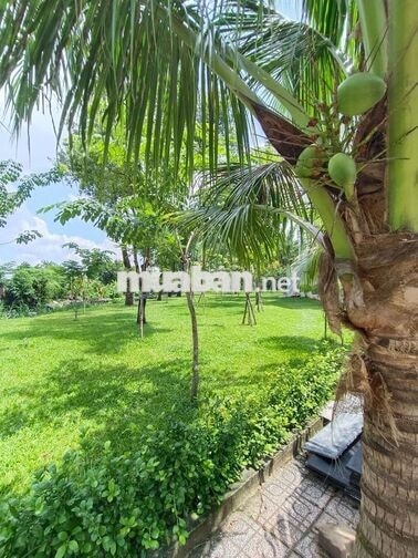 Đất Biệt thự 254m2 - view công viên, quỹ đất hiếm Gò vấp