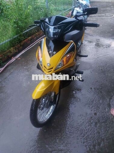 Yamaha Exciter 135 Vàng đen